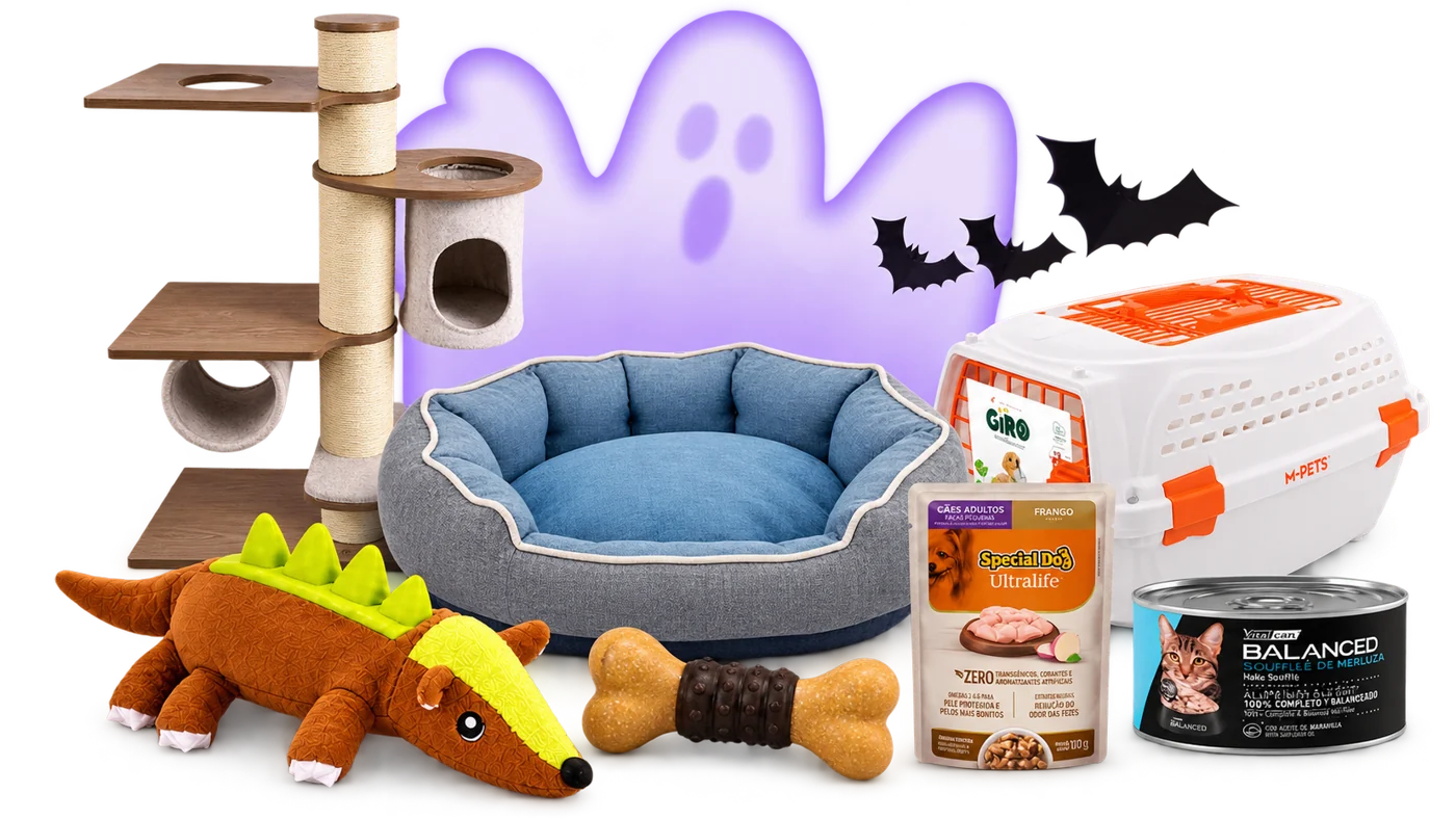 Cama, juguetes, snacks y comedero con decoración de Halloween